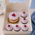 Bento & Cupcake Box
